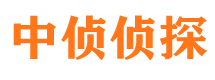 蓝田市调查公司